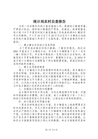 2024年统计局农村自查报告