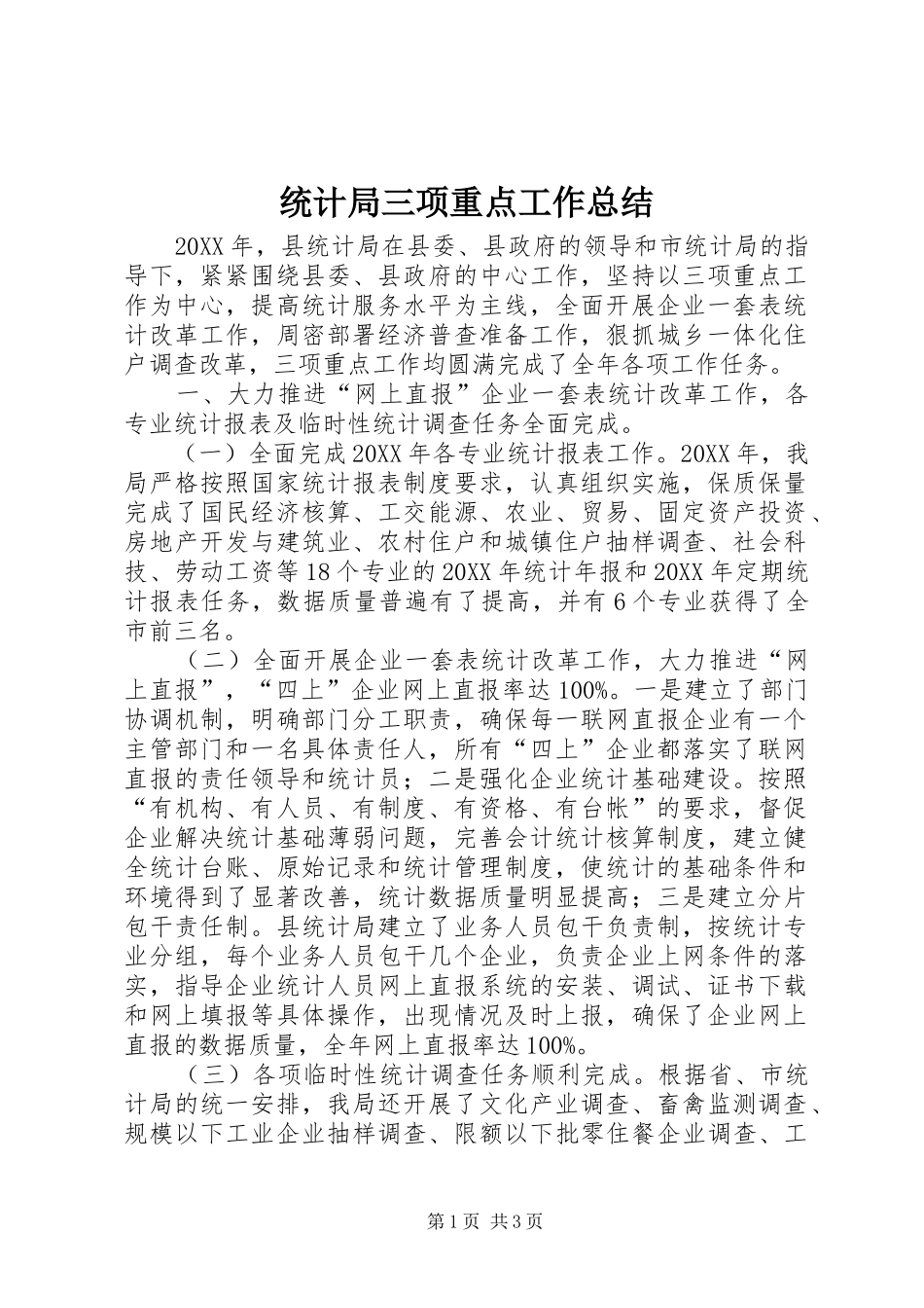 2024年统计局三项重点工作总结_第1页