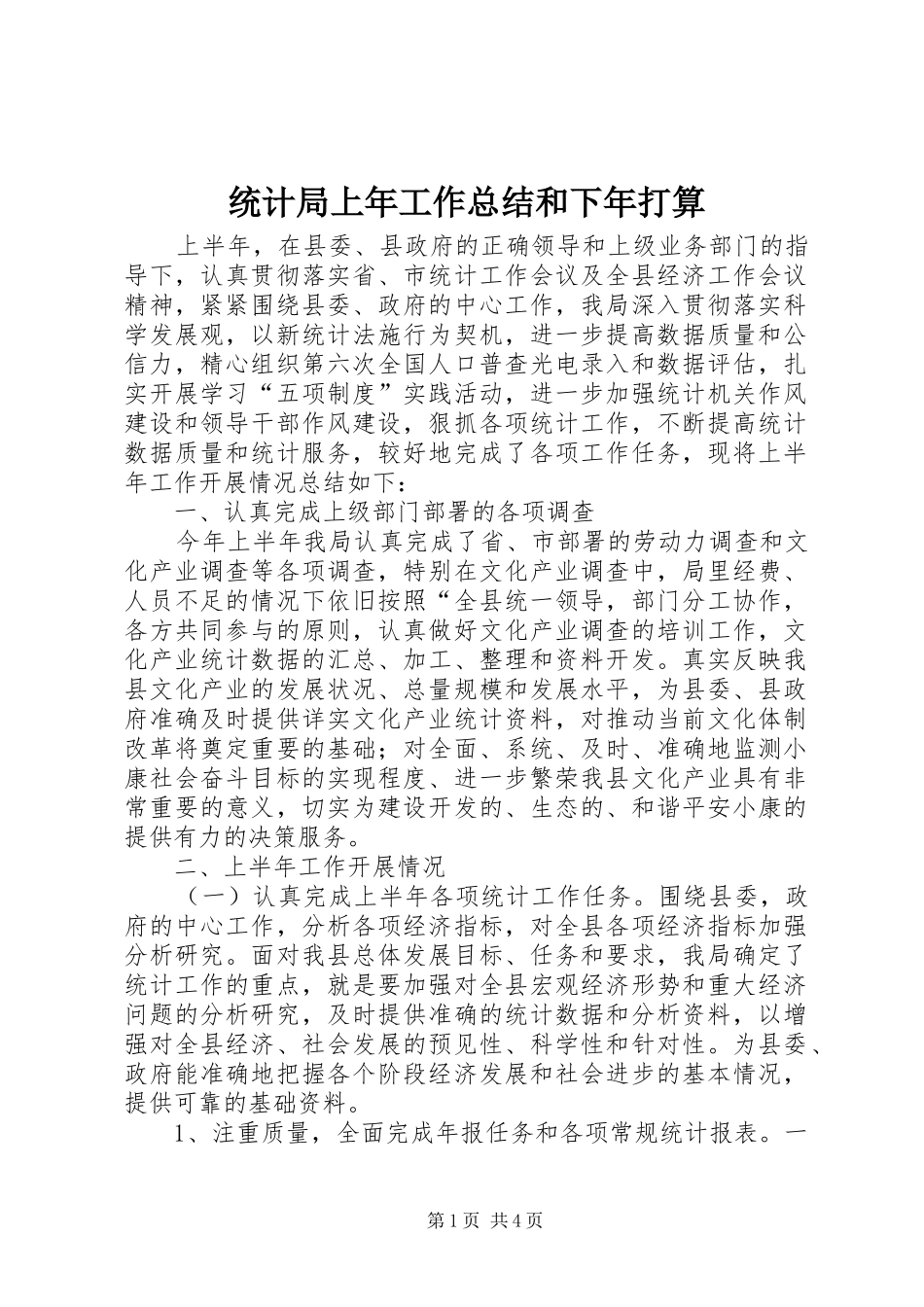 2024年统计局上年工作总结和下年打算_第1页