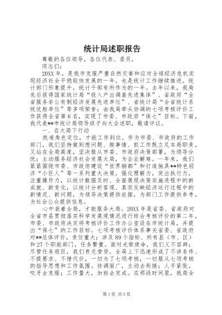 2024年统计局述职报告