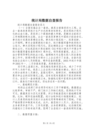 2024年统计局数据自查报告