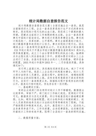 2024年统计局数据自查报告范文