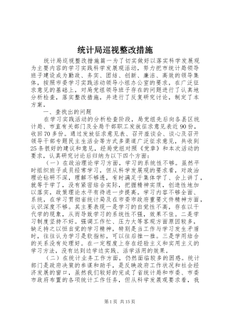 2024年统计局巡视整改措施