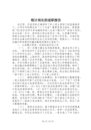 2024年统计局长的述职报告