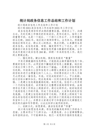 2024年统计局政务信息工作总结和工作计划