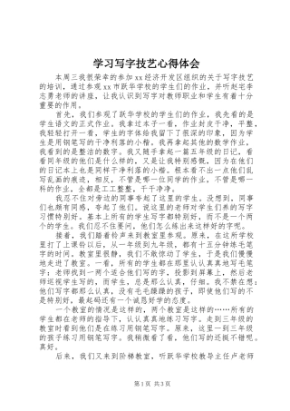 2024年学习写字技艺心得体会