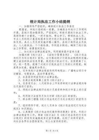 2024年统计局执法工作小结提纲