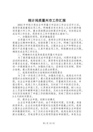 2024年统计局质量兴市工作汇报