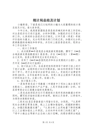 2024年统计局总结及计划