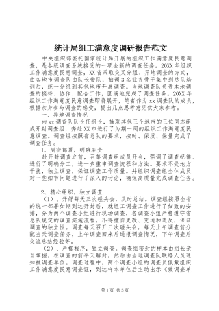 2024年统计局组工满意度调研报告范文