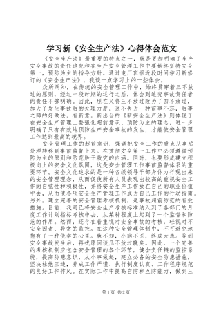 2024年学习新安全生产法心得体会范文