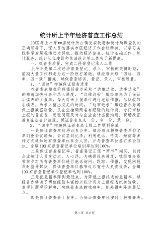 2024年统计所上半年经济普查工作总结