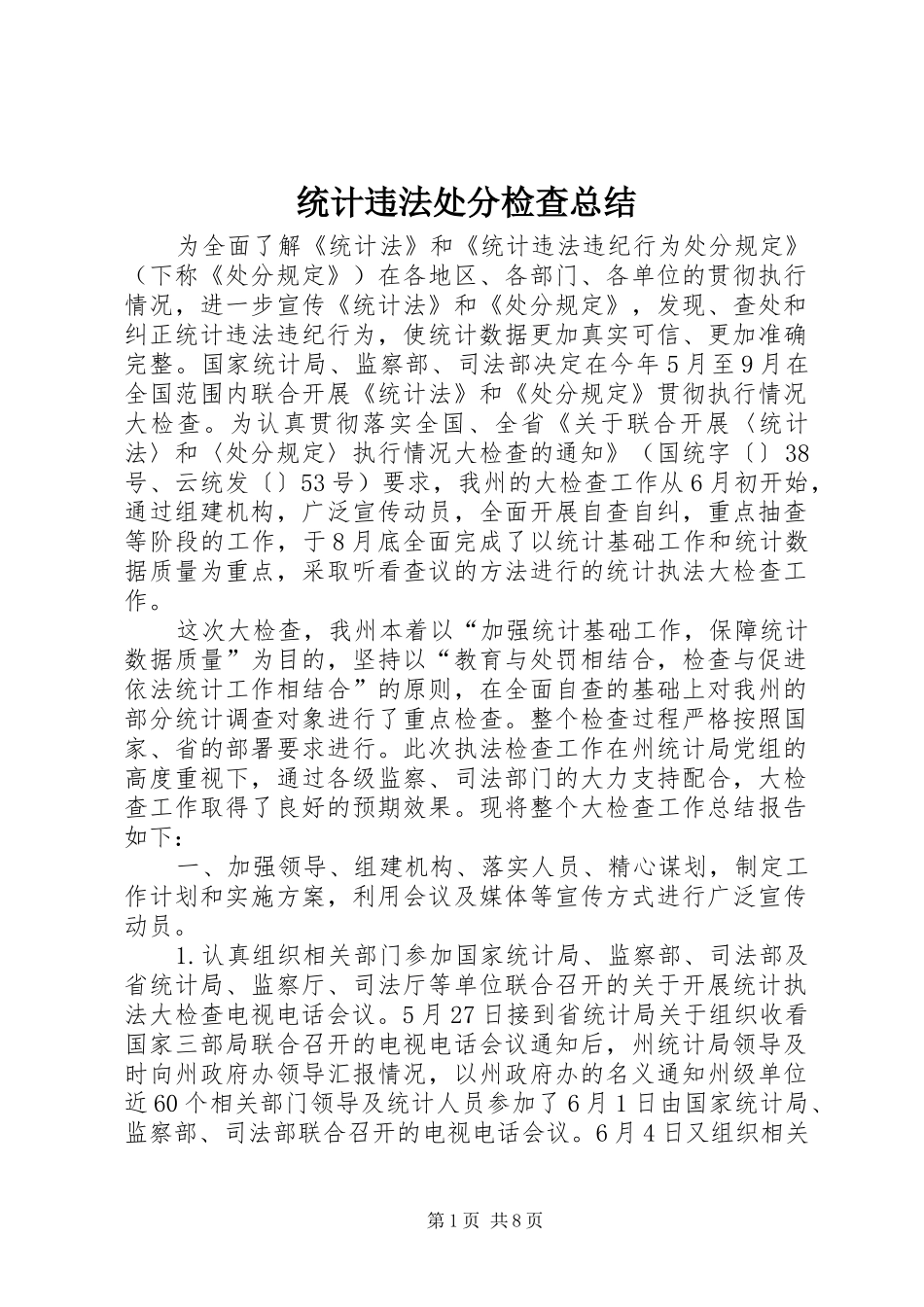 2024年统计违法处分检查总结_第1页