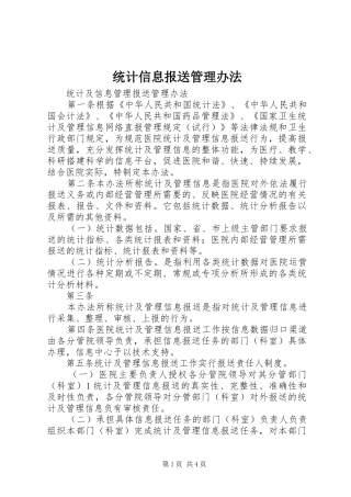 2024年统计信息报送管理办法