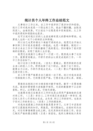2024年统计员个人年终工作总结范文