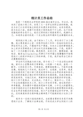 2024年统计员工作总结