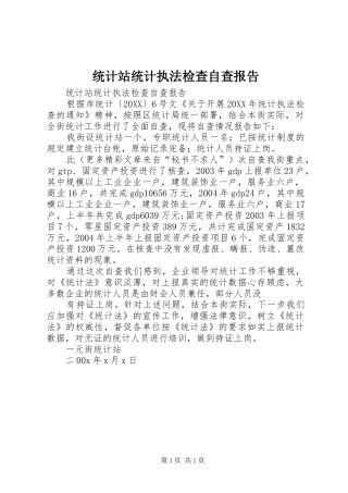 2024年统计站统计执法检查自查报告