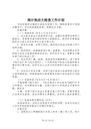 2024年统计执法大检查工作计划