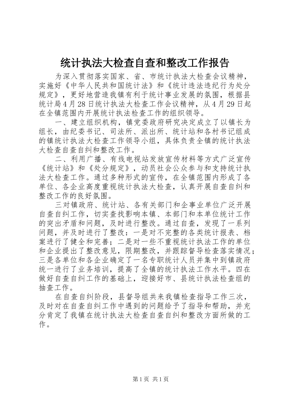 2024年统计执法大检查自查和整改工作报告_第1页