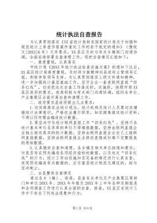 2024年统计执法自查报告