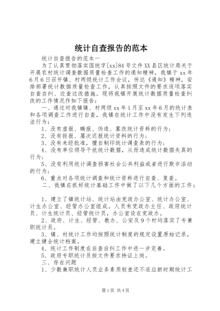 2024年统计自查报告的范本