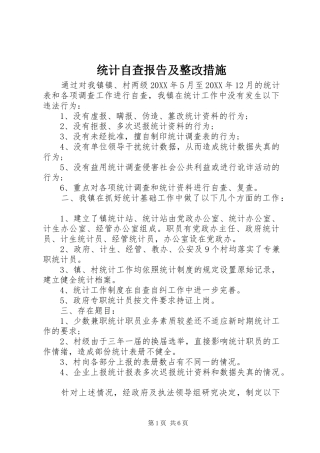 2024年统计自查报告及整改措施