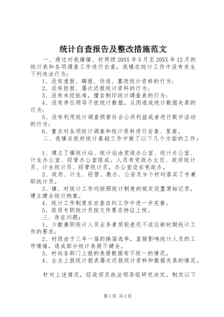 2024年统计自查报告及整改措施范文