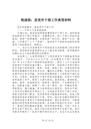 2024年统战部县党外干部工作典型材料