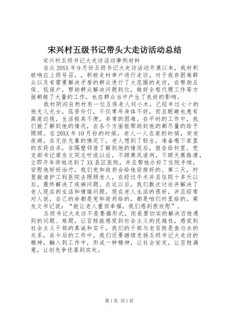 2024年宋兴村五级书记带头大走访活动总结