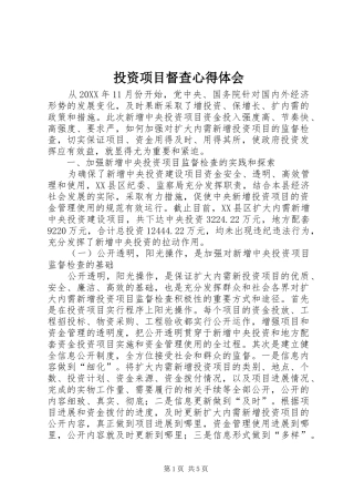 2024年投资项目督查心得体会