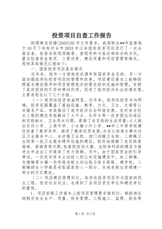 2024年投资项目自查工作报告