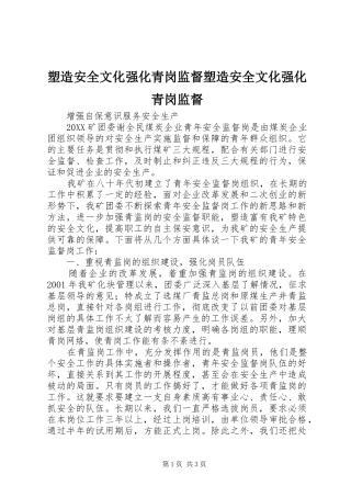 2024年塑造安全文化强化青岗监督塑造安全文化强化青岗监督