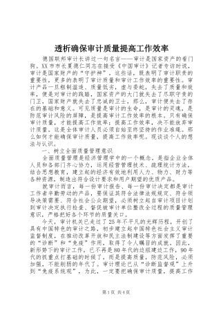 2024年透析确保审计质量提高工作效率