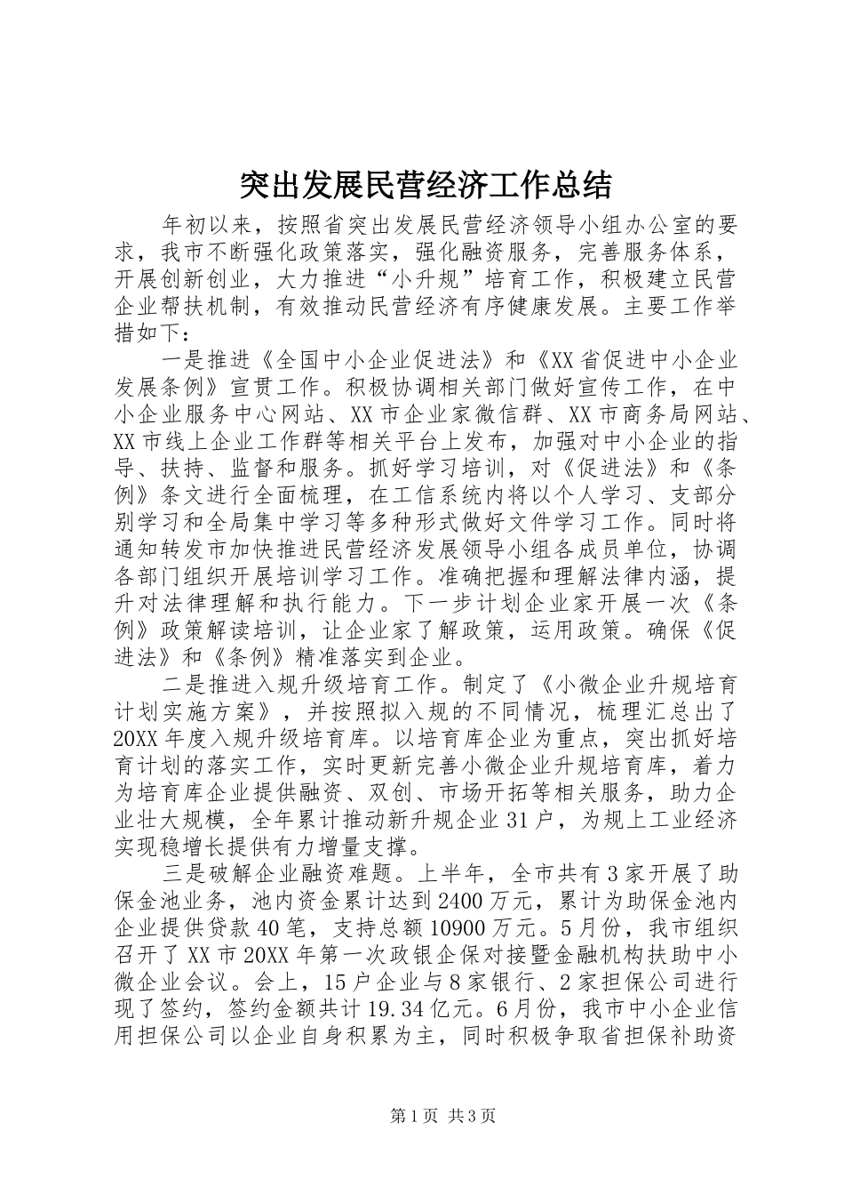 2024年突出发展民营经济工作总结_第1页
