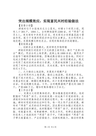 2024年突出规模效应，实现富民兴村经验做法