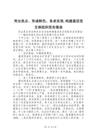 2024年突出亮点形成特色务求实效构建基层党支部组织坚实堡垒