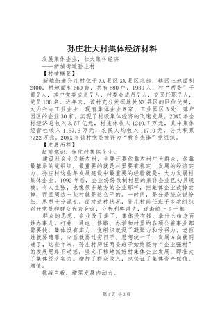 2024年孙庄壮大村集体经济材料