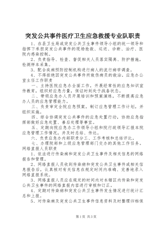 2024年突发公共事件医疗卫生应急救援专业队职责