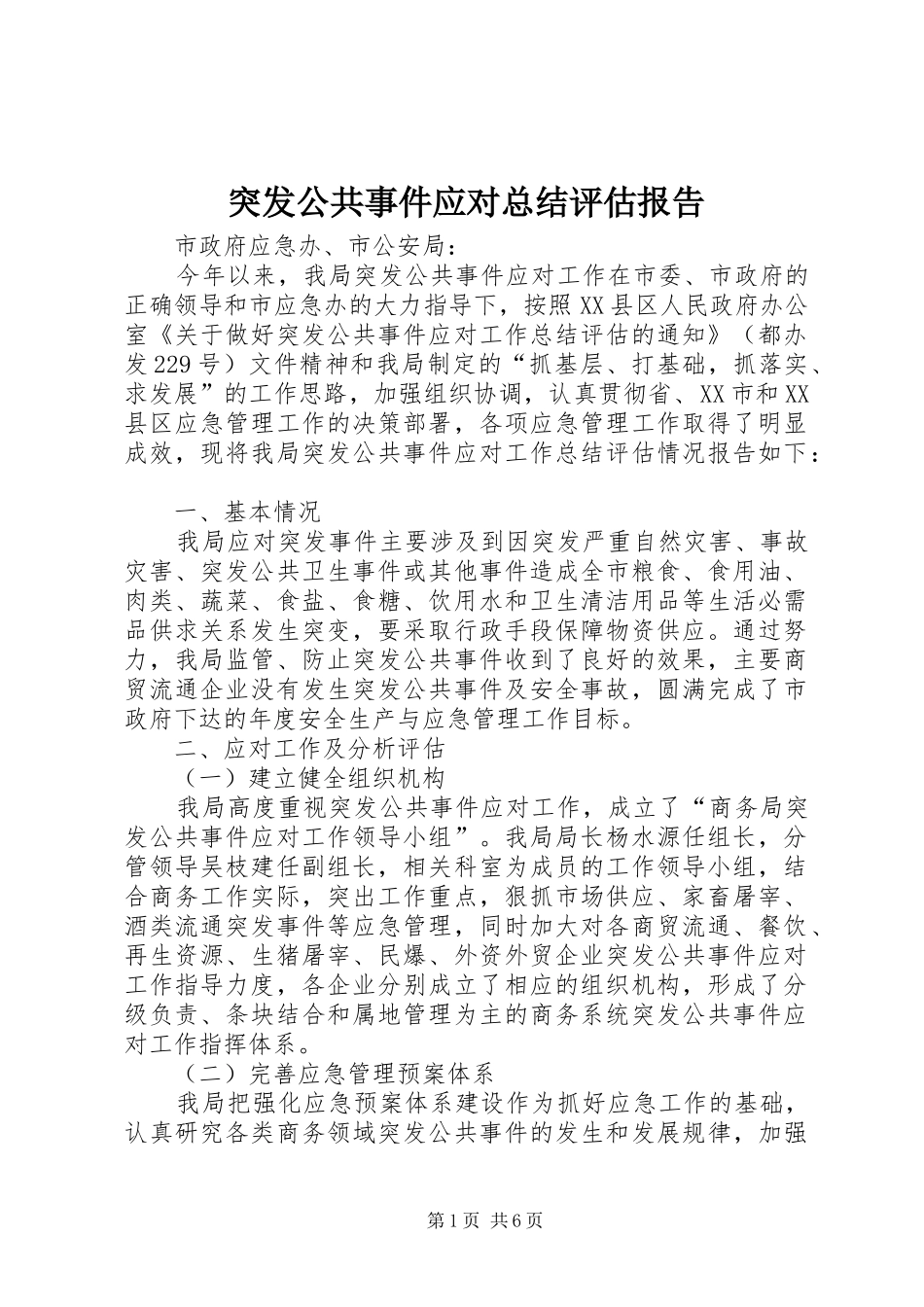 2024年突发公共事件应对总结评估报告_第1页