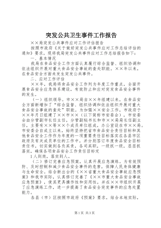 2024年突发公共卫生事件工作报告