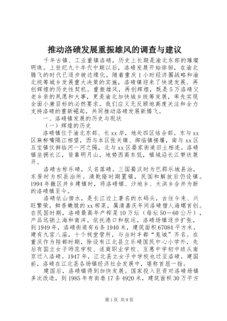 2024年推动洛碛发展重振雄风的调查与建议