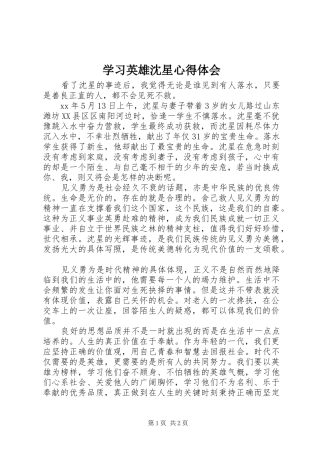 2024年学习英雄沈星心得体会