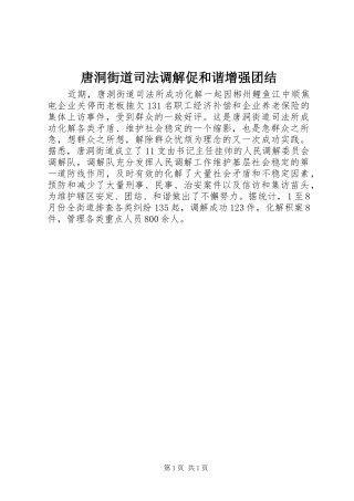 2024年唐洞街道司法调解促和谐增强团结