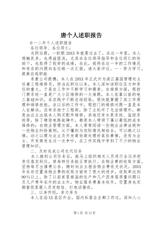 2024年唐个人述职报告