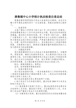 2024年唐集镇中心小学统计执法检查自查总结