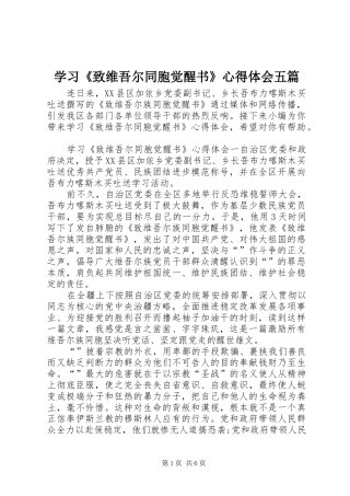 2024年学习致维吾尔同胞觉醒书心得体会五篇