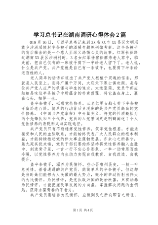 2024年学习总书记在湖南调研心得体会篇