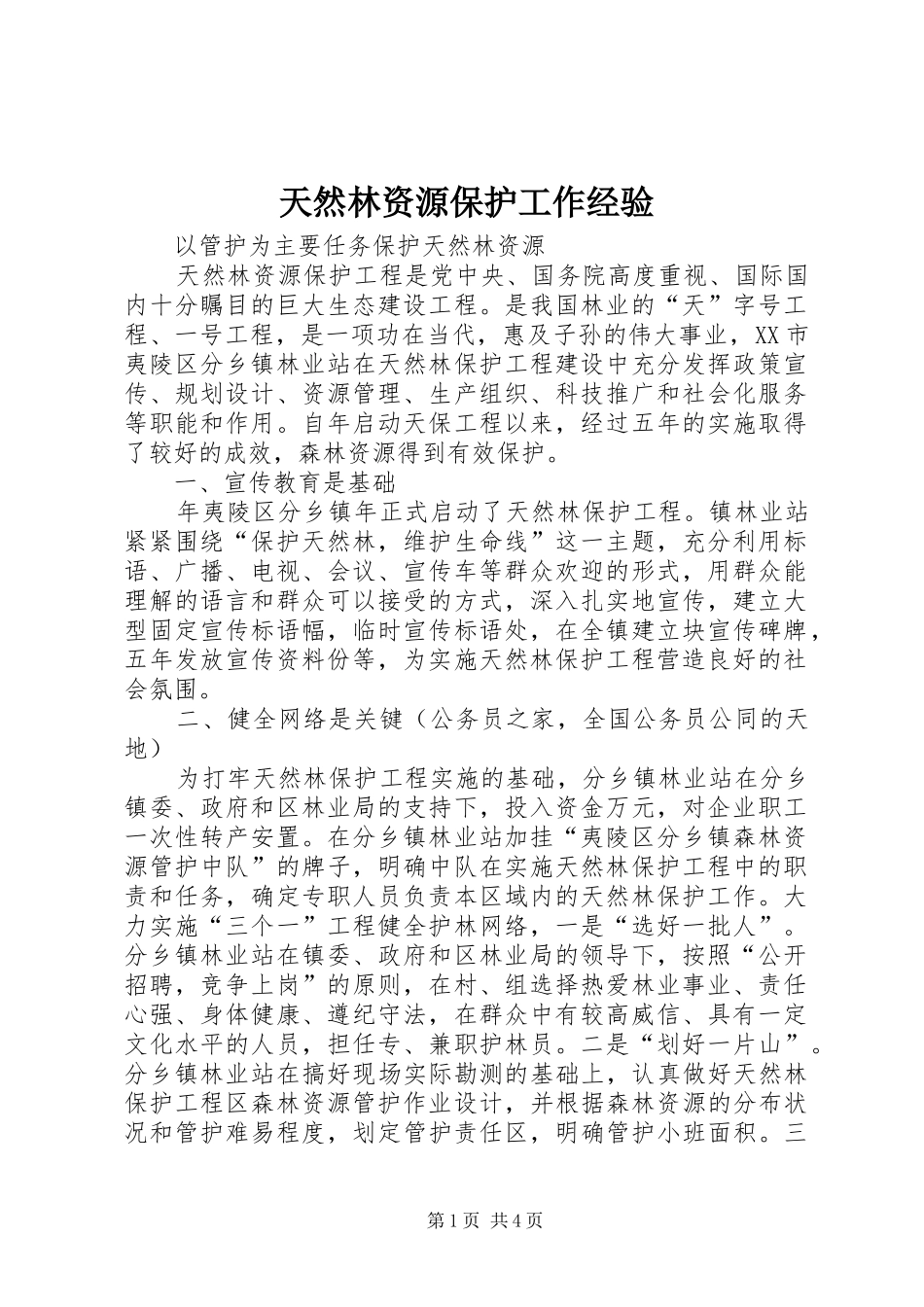 2024年天然林资源保护工作经验_第1页