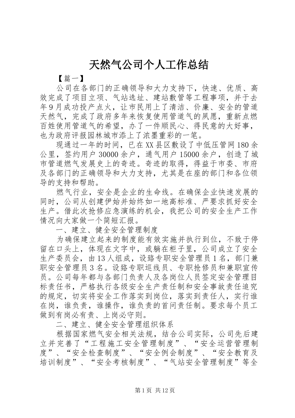 2024年天然气公司个人工作总结_第1页
