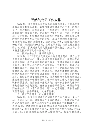 2024年天然气公司工作安排